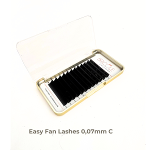 Easy Fan Lashes   C   0,07 mm